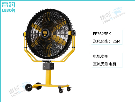 �ױ��Զ�ҡͷ����� EF3625BK���ܼ���ϵ�绰